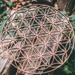 Flower of life cut through | Terra Spirit | Spiritual | Laser cut | Handcrafted