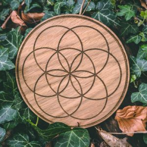 Seed of life