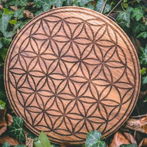 Flower of Life Sacred Geometry