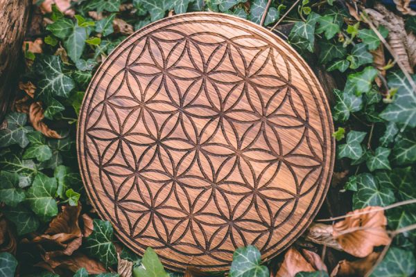 Flower of Life Sacred Geometry